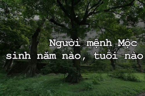 Mệnh Mộc Sinh Năm Nào - Bảng Tra Cứu Năm Sinh Mệnh Mộc
